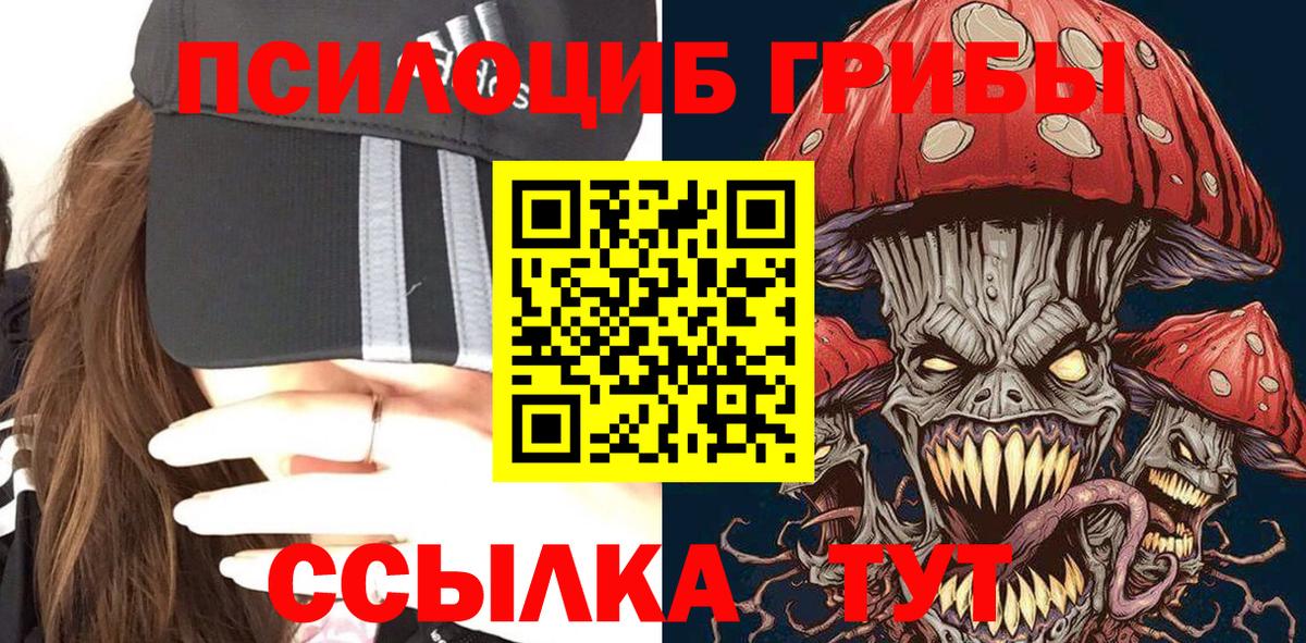Псилоцибиновые грибы ЛСД Александров